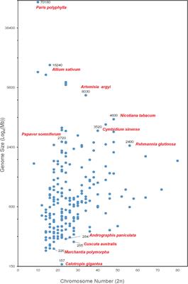 Integration of high-throughput omics technologies in medicinal plant research: The new era of natural drug discovery